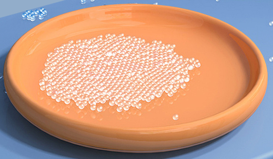 Superficie regolare a forma di del recipiente di plastica del secchio chiara personalizzabile